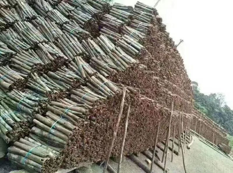 厚肉桂包装统货