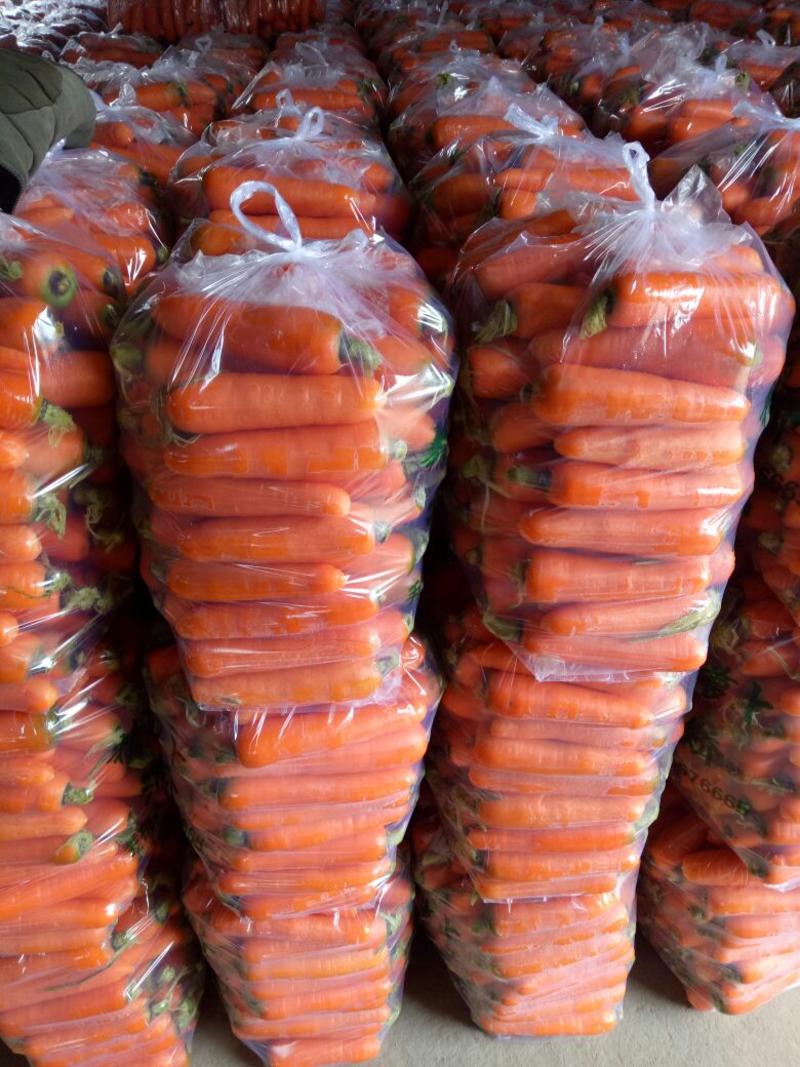 电商水洗胡萝卜土货带苗次品养殖场加工出口按需包装质量有保证