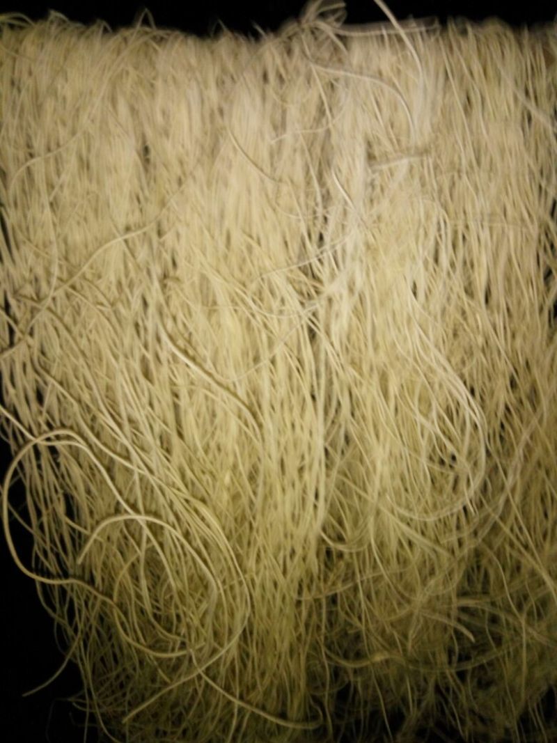 【粉条】红薯粉条细粉厂家直销，品质保证欢迎选购可视频