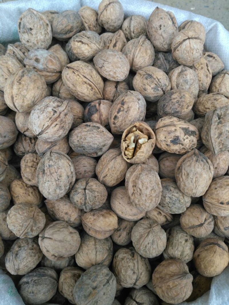 新疆特产核桃原生态无漂洗核桃原色纸皮核桃手捏即开