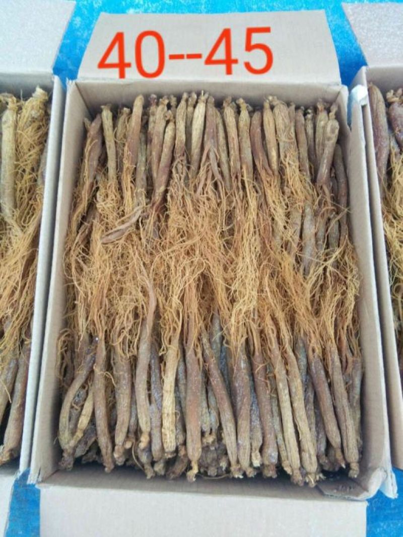 红参