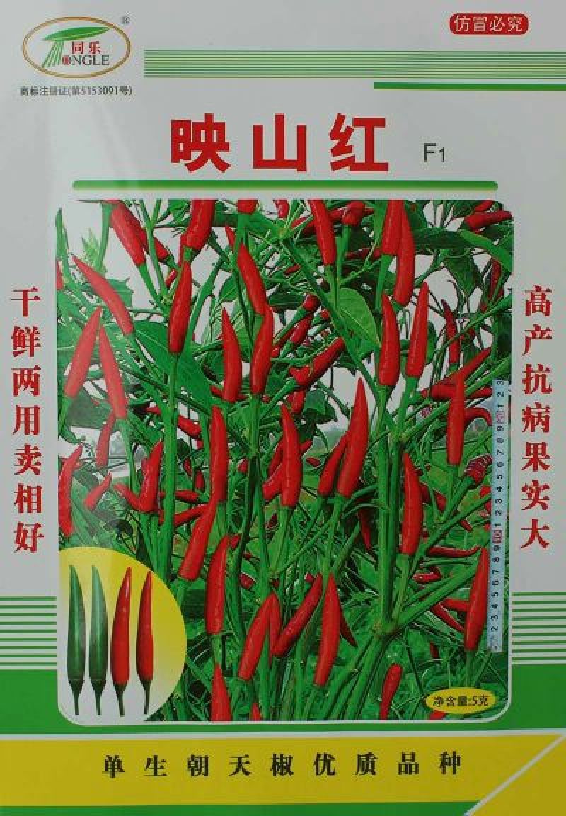 映山红单生朝天椒高产干鲜两用辣椒种子正品包邮
