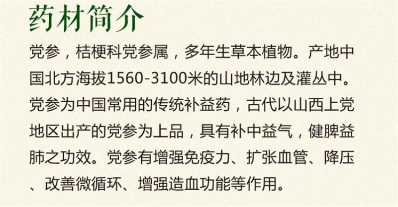 党参种子纯新90%以上春秋播种3斤/亩生长2-3年