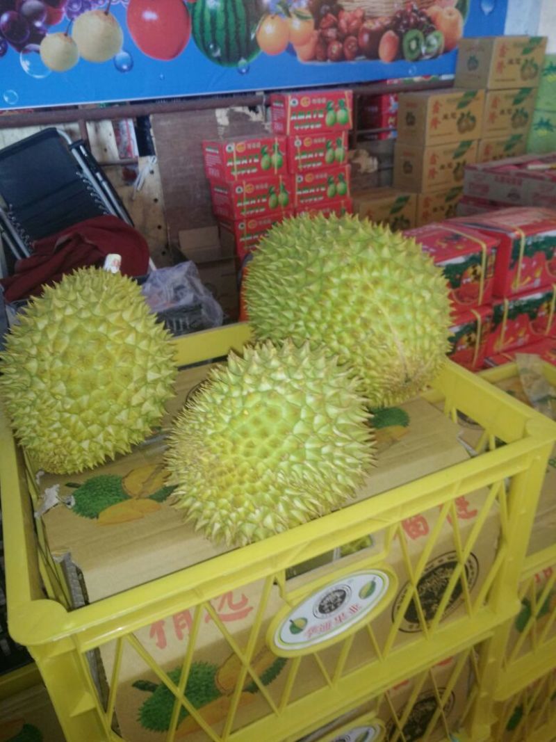 金枕头榴莲3~5斤