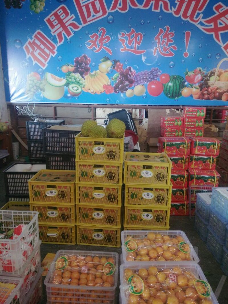 金枕头榴莲3~5斤