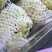 松花菜散花2~3斤乳白