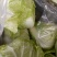 白菜4~6斤净菜夏阳白菜精品白菜大白菜河南通许蔬菜