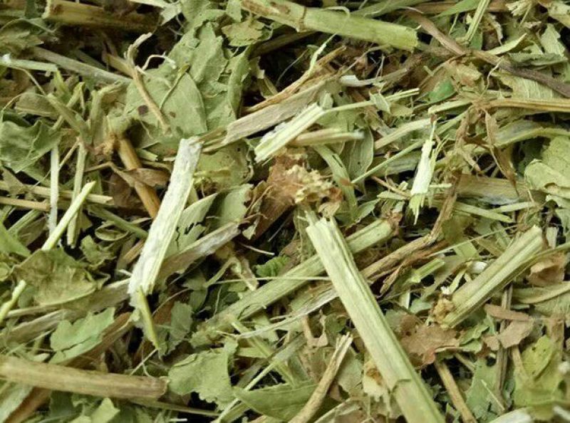 花生秧48个月