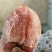 柿饼1~2两