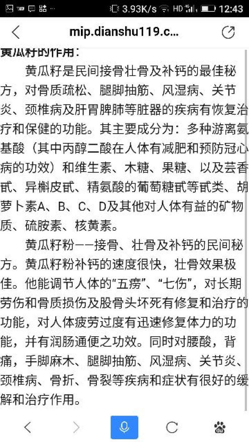 黄瓜种子98%以上