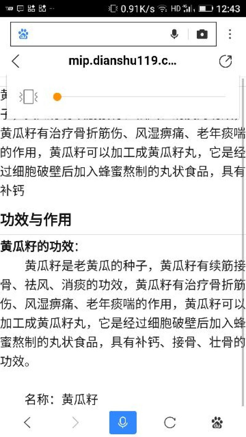 黄瓜种子98%以上