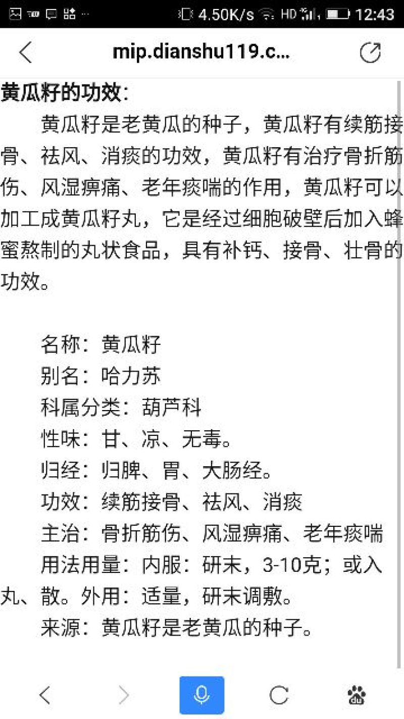 黄瓜种子98%以上