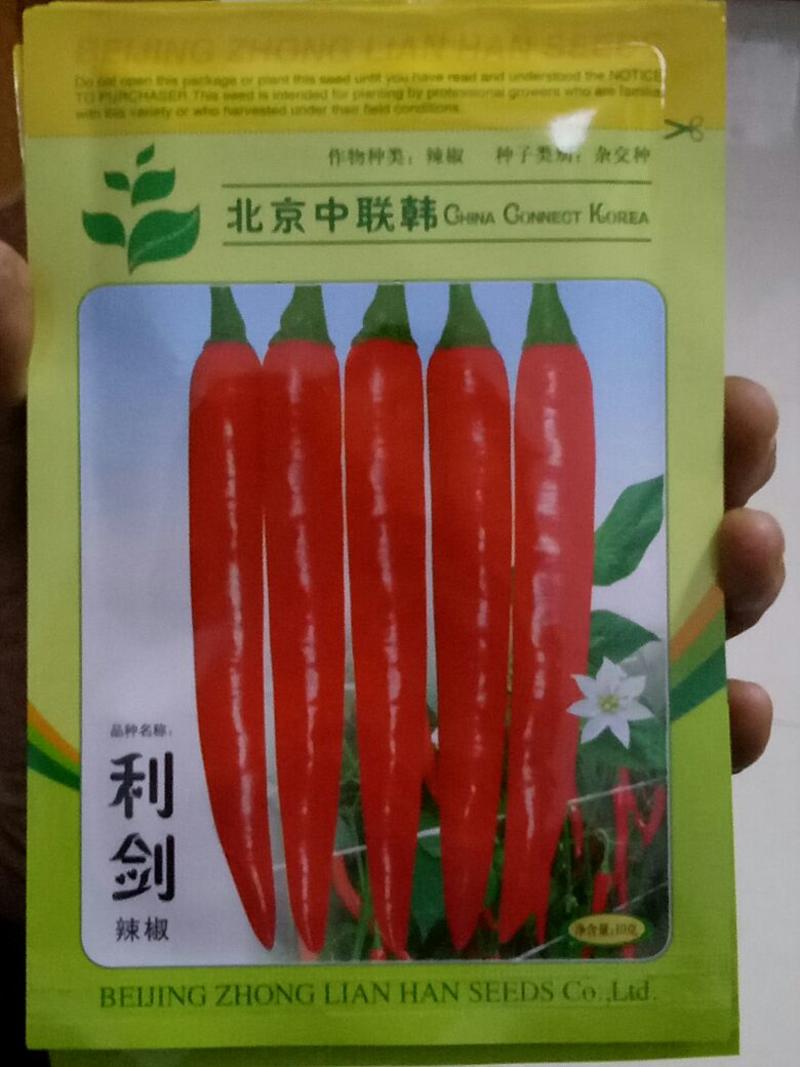 辣椒种子韩国美人椒种子