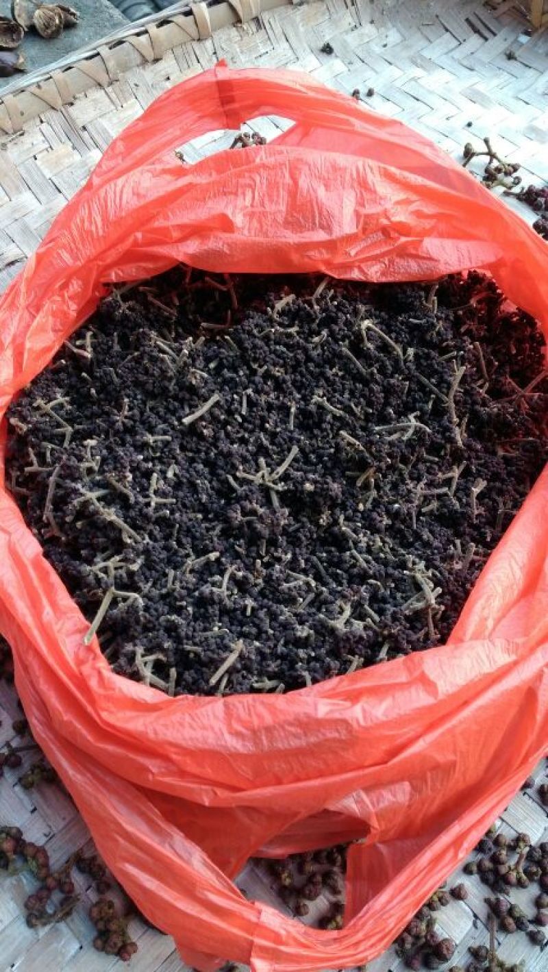 吴茱萸小花统