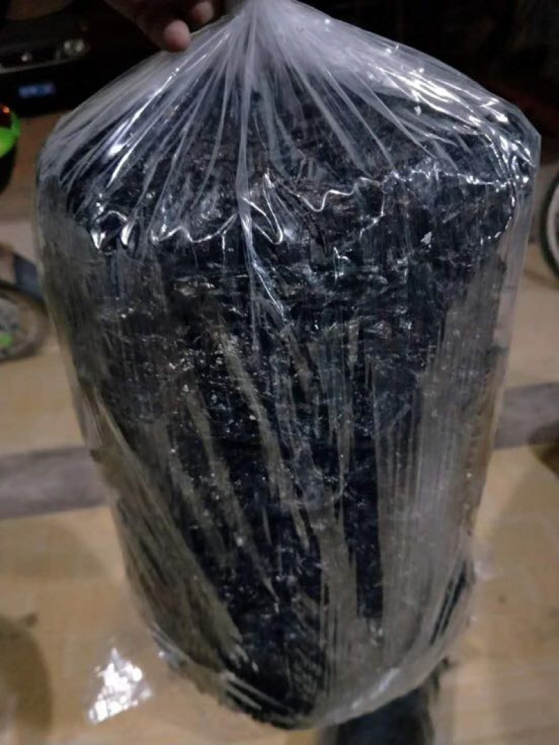 紫菜人工养殖头水