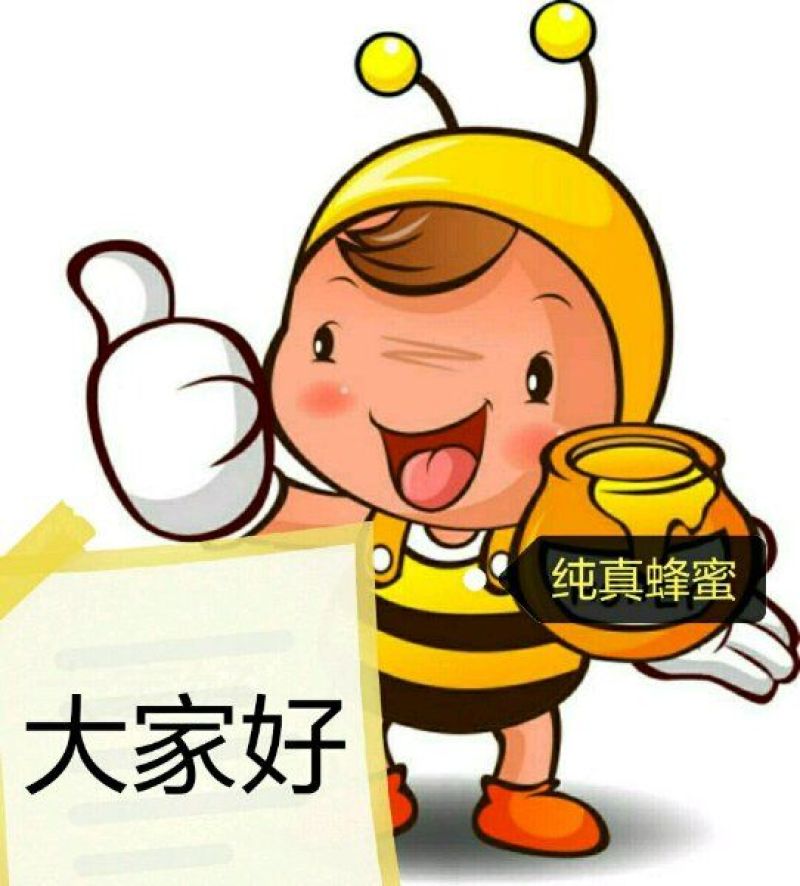 蜂蜜产地直销9斤装，信誉第一