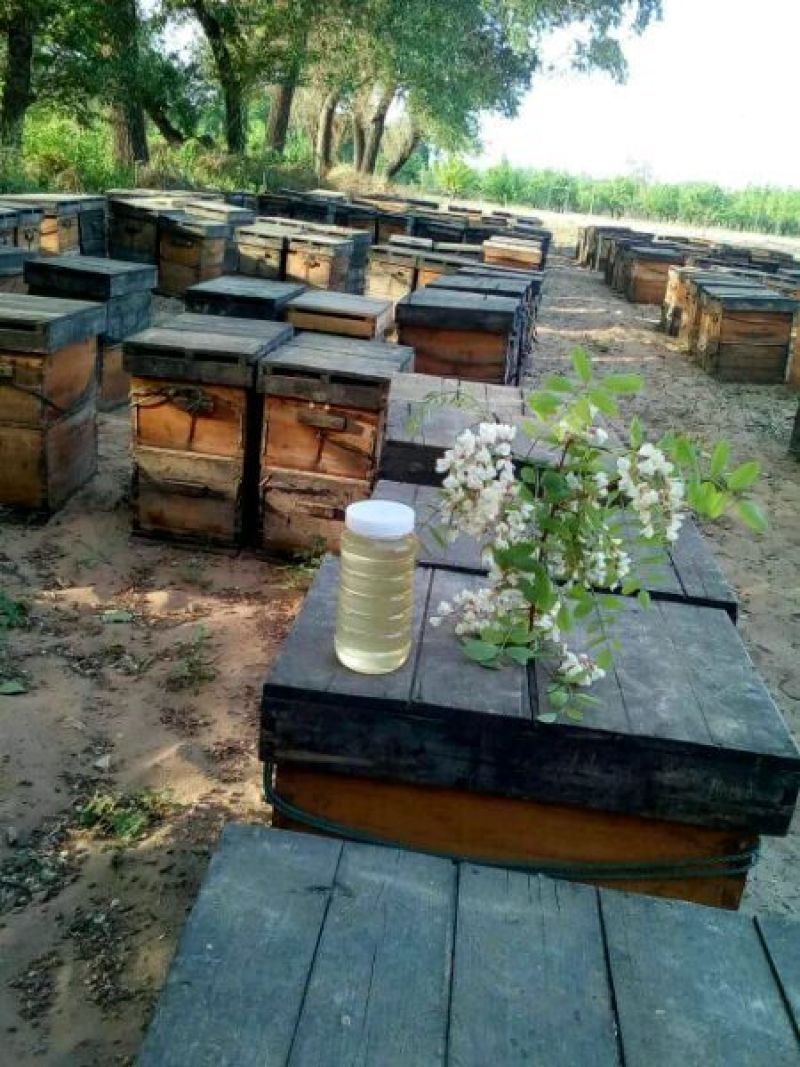 蜂蜜产地直销9斤装，信誉第一