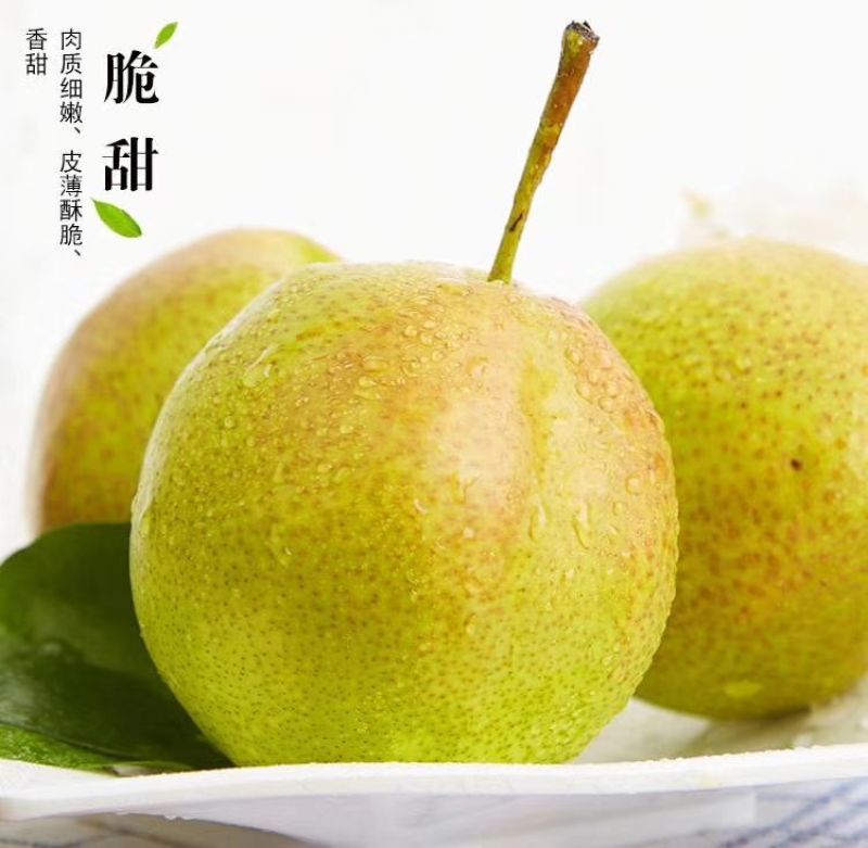 批发隰县玉露香梨75一80#18颗装