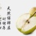 批发隰县玉露香梨75一80#18颗装