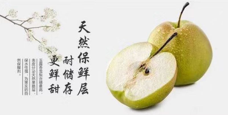 批发隰县玉露香梨75一80#18颗装
