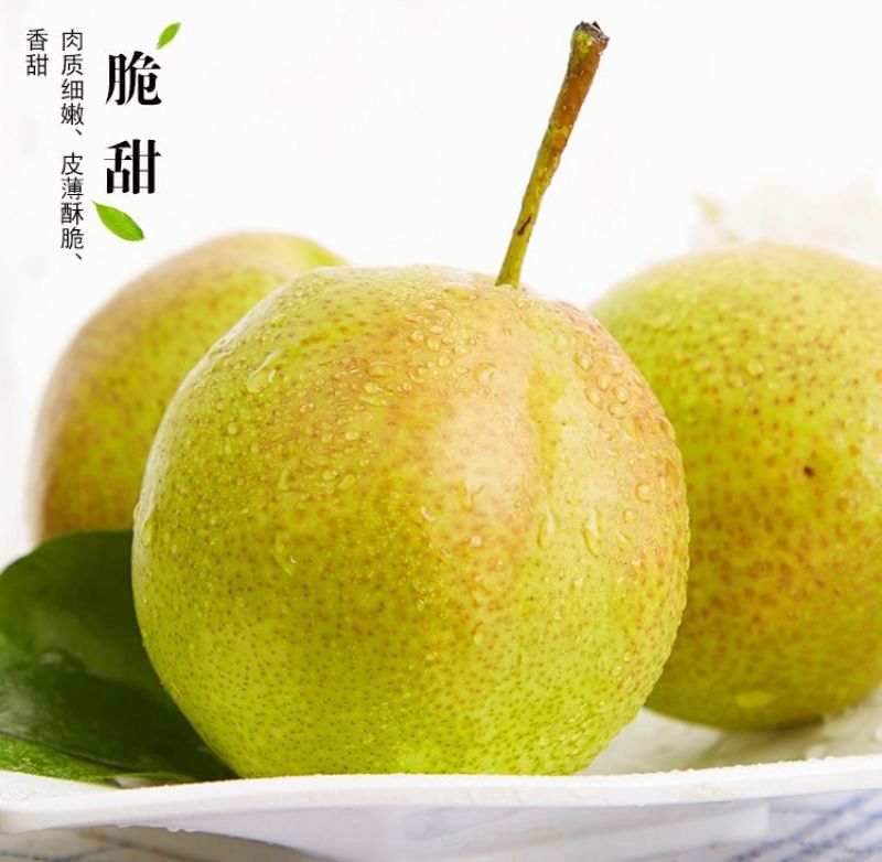 批发隰县玉露香梨75一80#18颗装