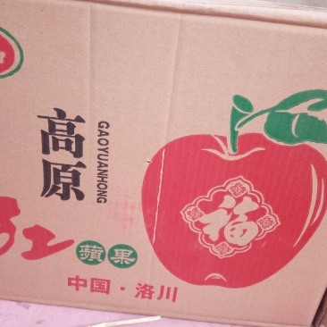 红富士苹果70mm以上光果