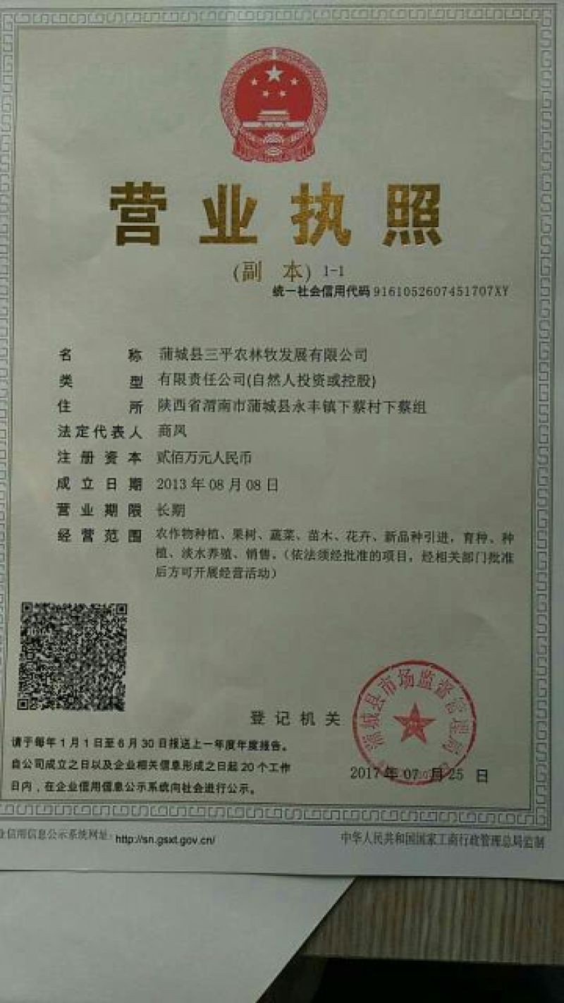 草鱼苗人工养殖