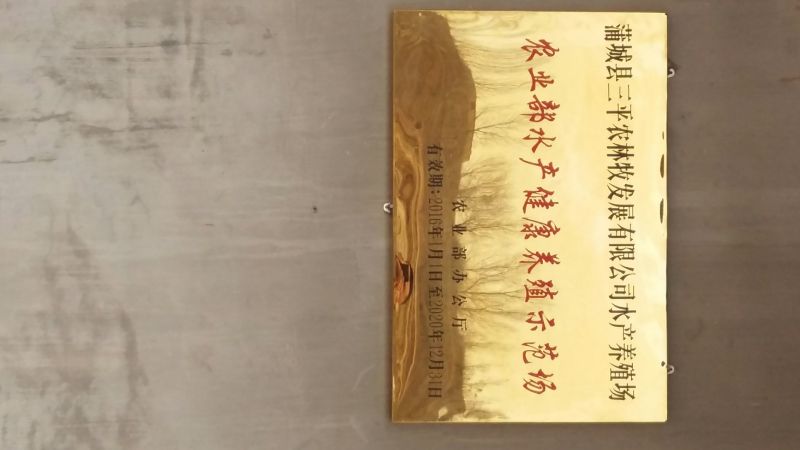 草鱼苗人工养殖