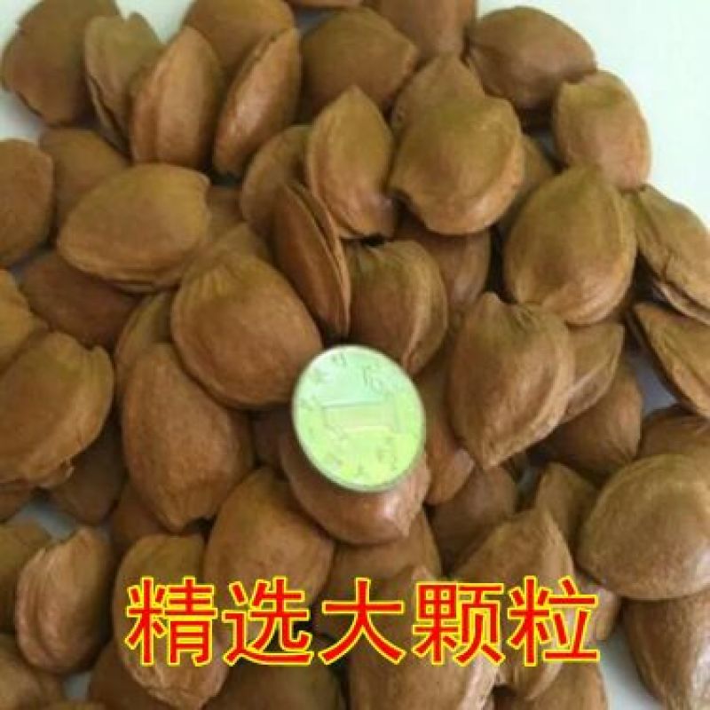 杏仁一箱5斤包邮