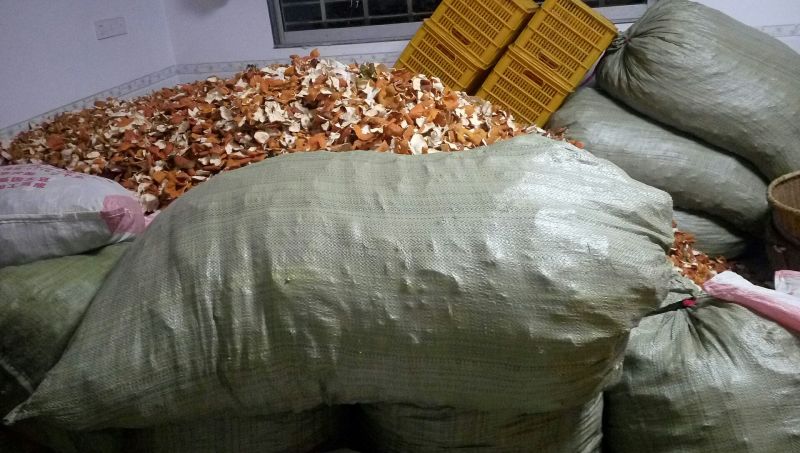 陈皮红桔个