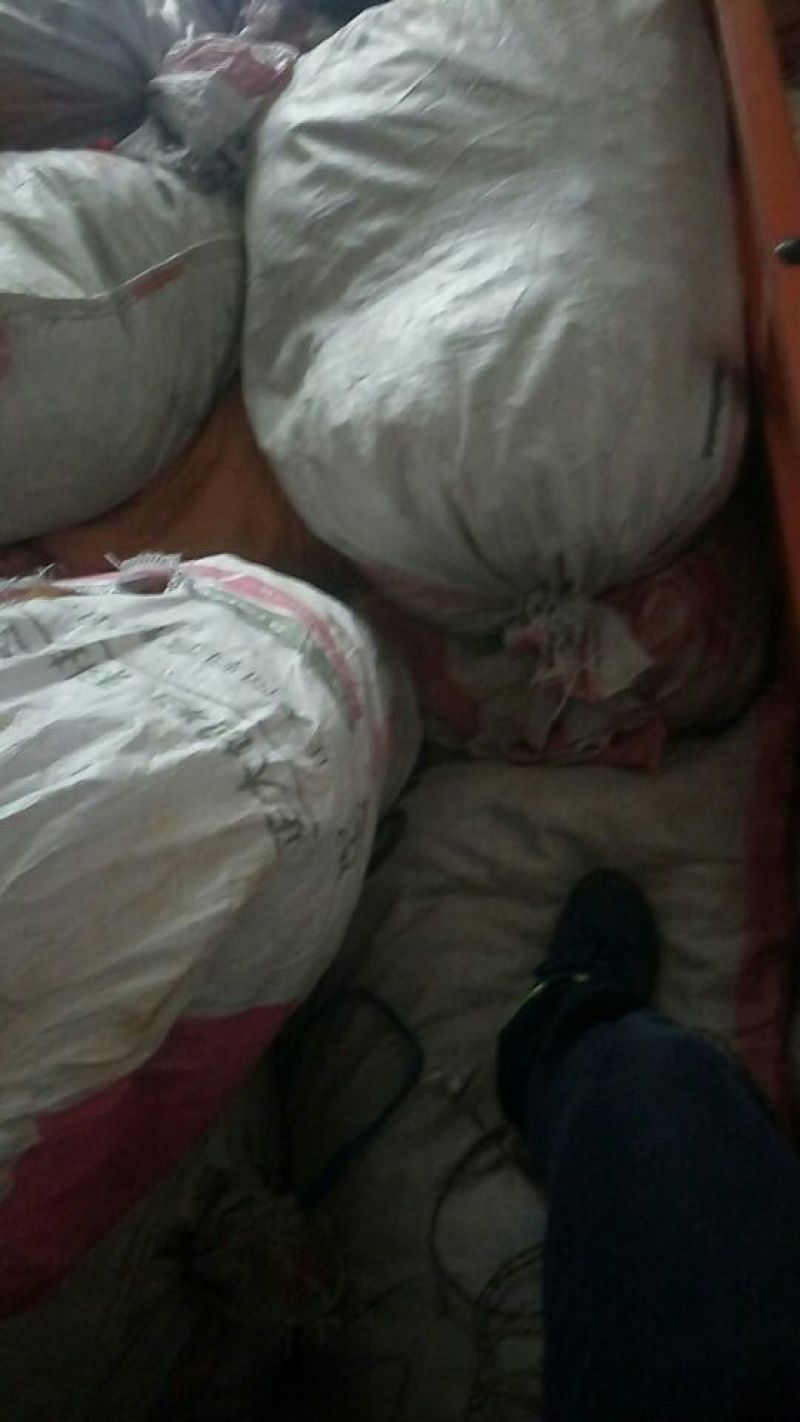 陈皮红桔个