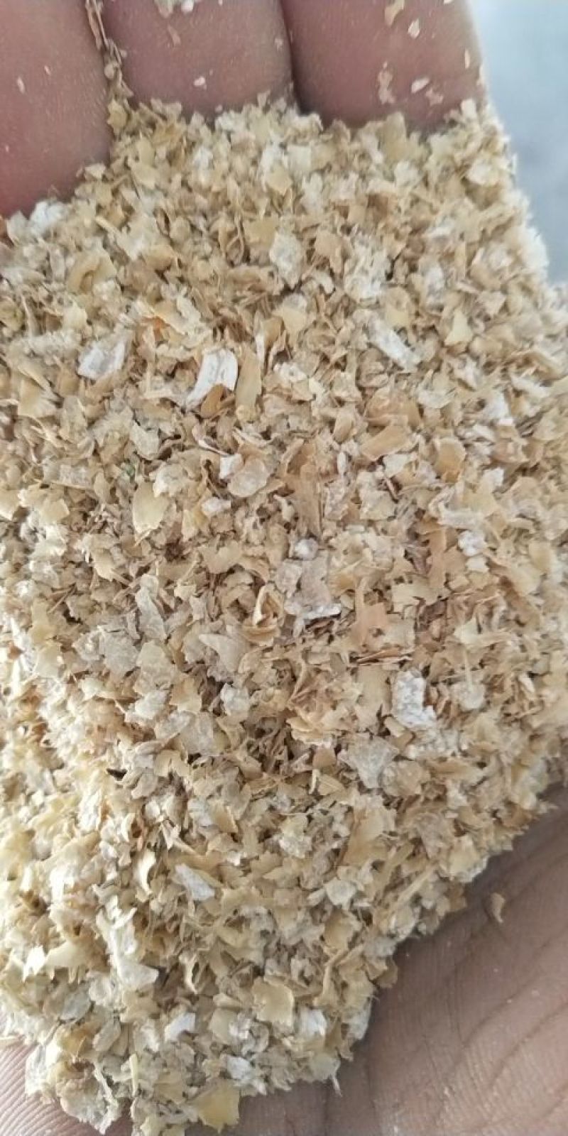 麸皮饲料