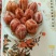 柿饼2~2.5两
