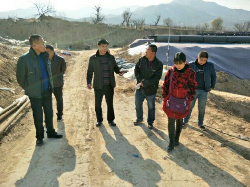 硬粉西红柿弧三以上果型好耐运输，稳定供货，对接全国