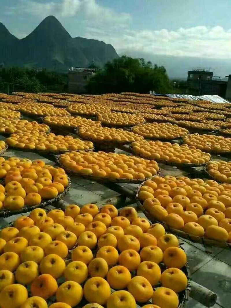 柿饼1~2两