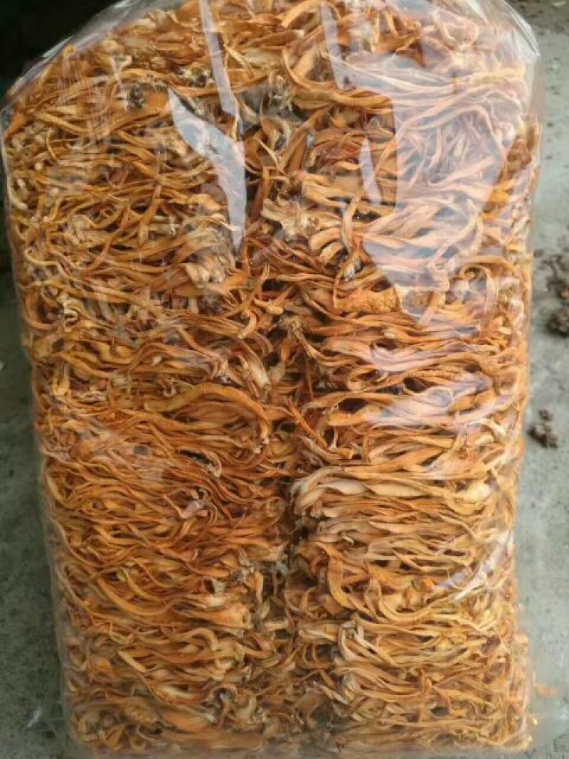 虫草花东北干货炒菜煲汤2斤起包邮量大从优