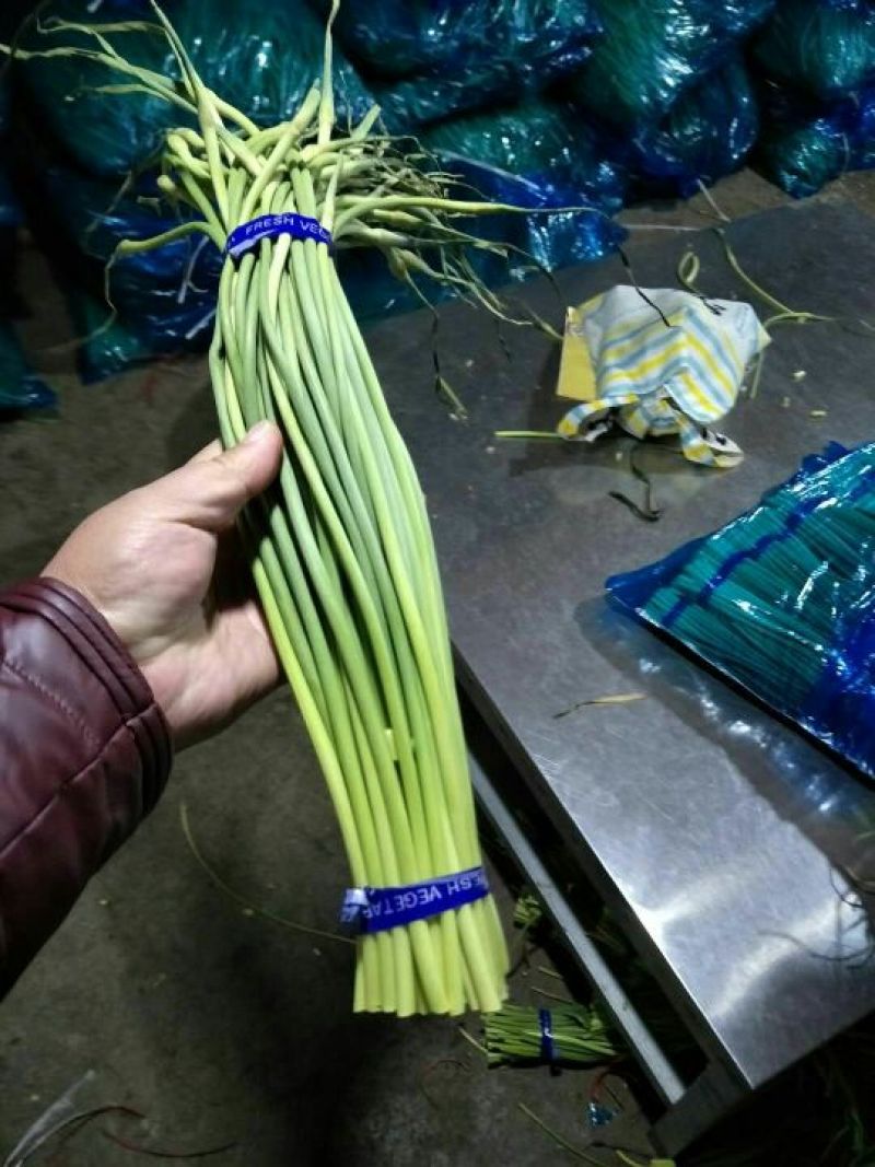 蒜薹✔生姜，一亩田推荐