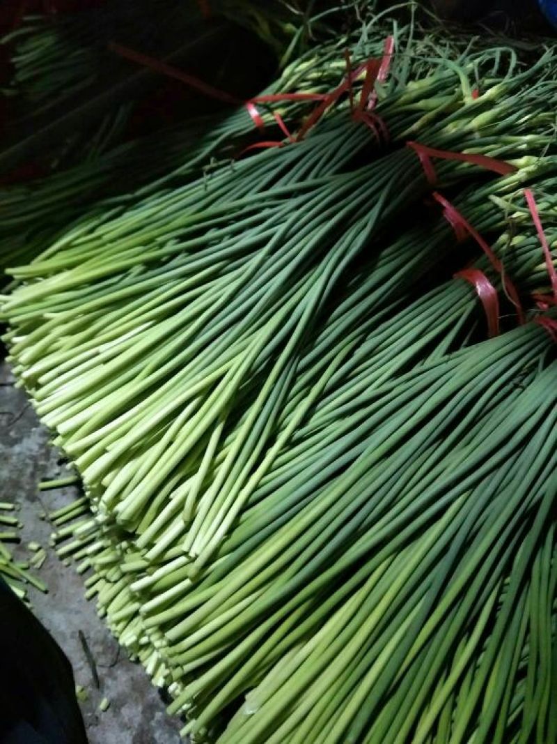 蒜薹✔生姜，一亩田推荐