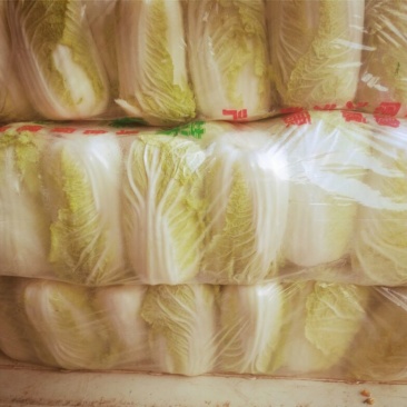 周口鹿邑娃娃菜上市啦，自家种植，按需发货，坚守品质