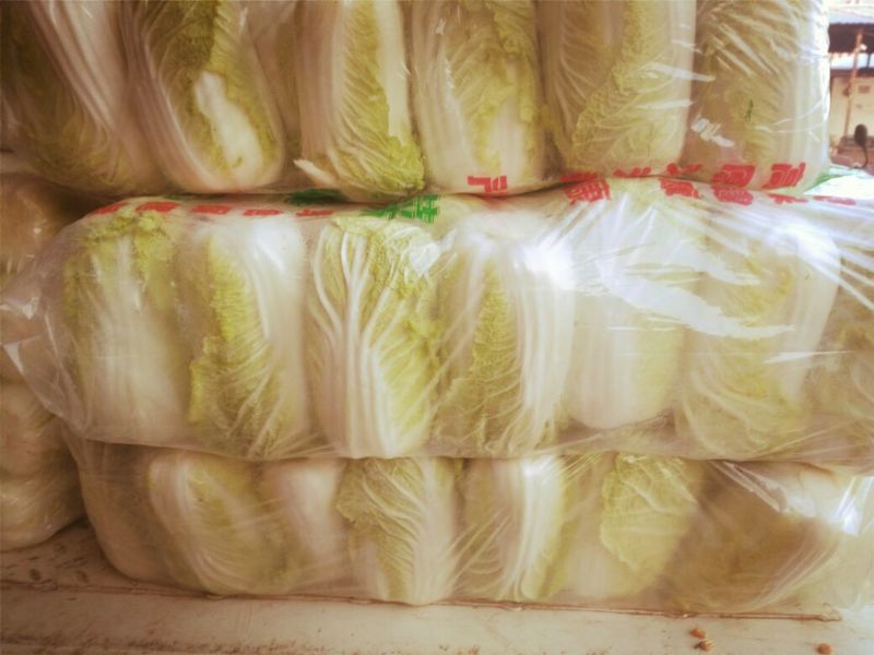 周口鹿邑娃娃菜上市啦，自家种植，按需发货，坚守品质