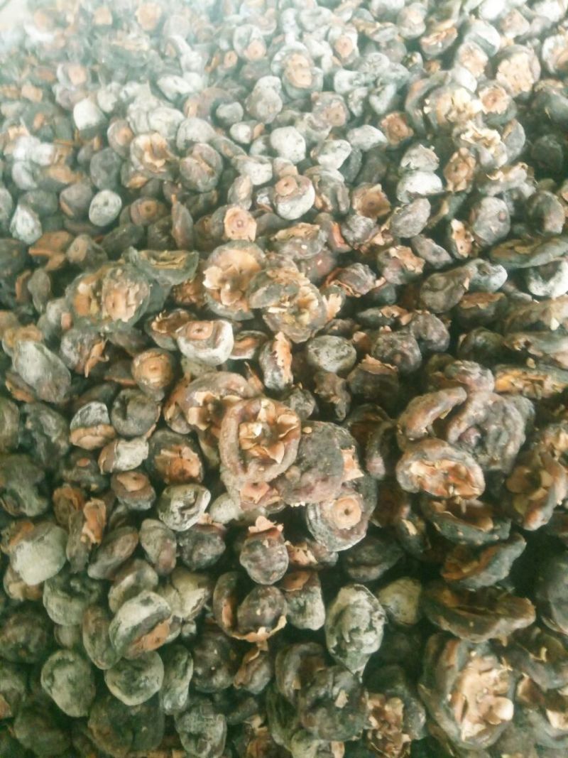 柿饼1~2两