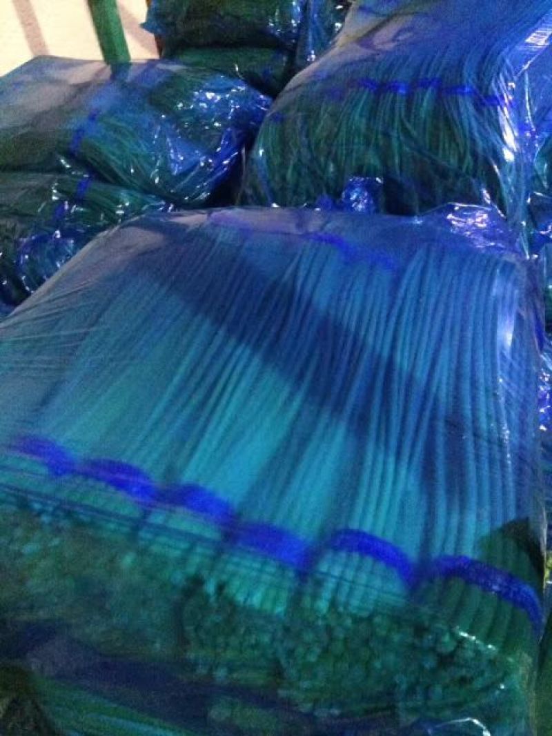 杂交蒜薹短苔精加工通货质量好，价格低
