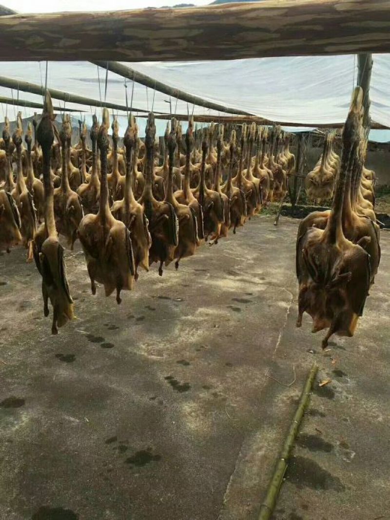 腊鸭