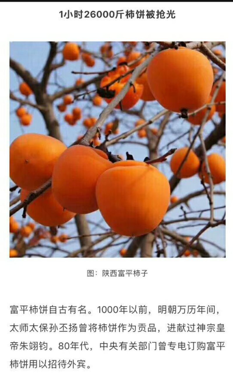 柿饼2.5两以上