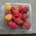 黄树莓苗双季黄树莓苗10~30cm苗圃基地直发