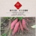 红薯粉条中粉