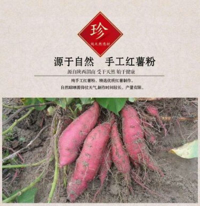 红薯粉条中粉