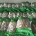 红薯粉条中粉