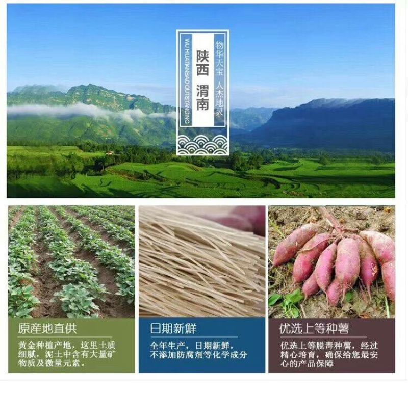红薯粉条中粉