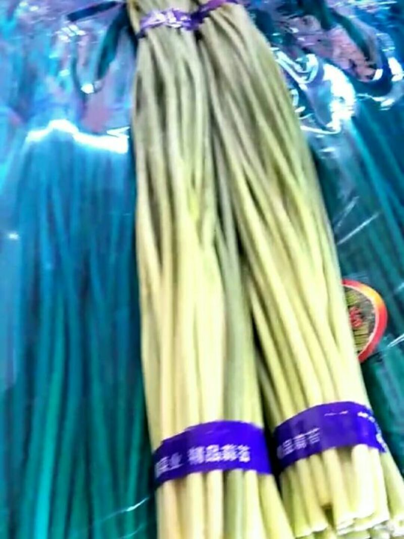 蒜薹通货50~60cm四季现货，质量保证
